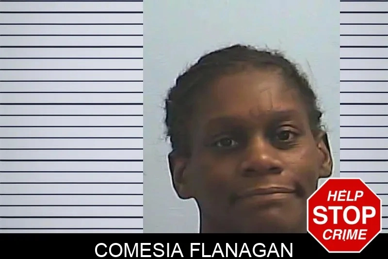 Comesia Flanagan Mugshots