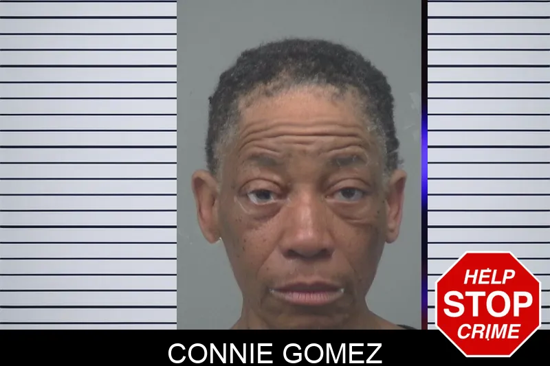 Connie Gomez Mugshots