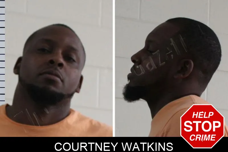Courtney Watkins Mugshots
