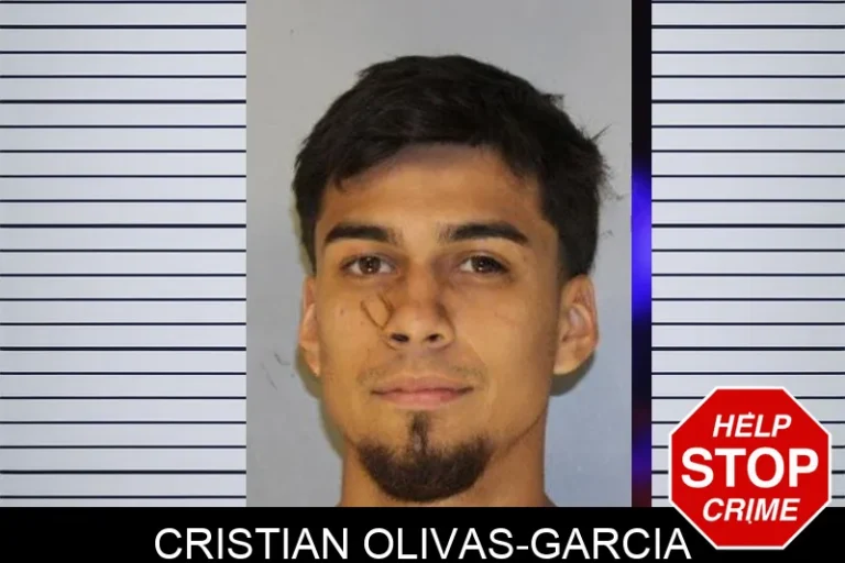 Cristian Olivas-Garcia