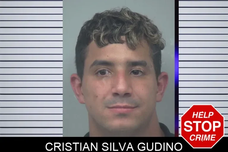 Cristian Silva Gudino