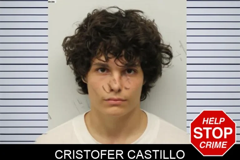 Cristofer Castillo mugshot – Chatham County , Georgia Cristofer Castillo
