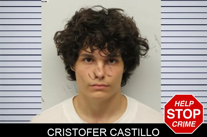 Cristofer Castillo Mugshots