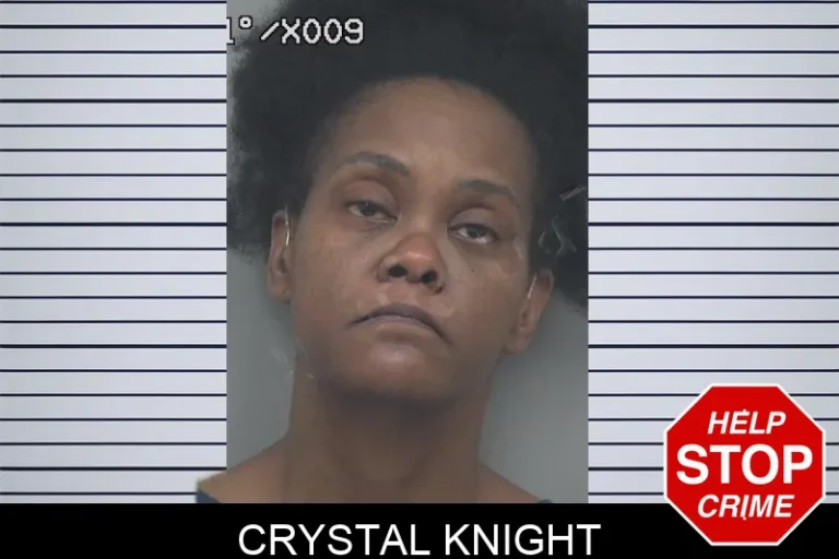 Crystal Knight mugshot – Gwinnett County , Georgia Crystal Knight