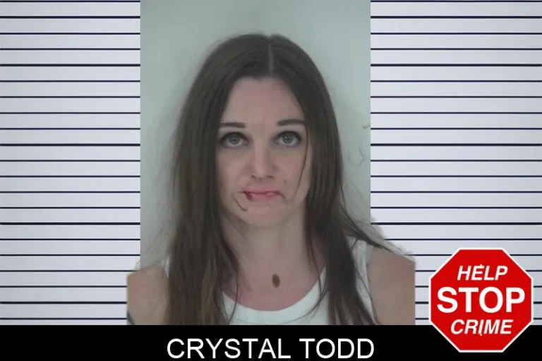 Crystal Todd mugshot – Fayette County , Georgia Crystal Todd