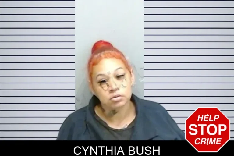 Cynthia Bush