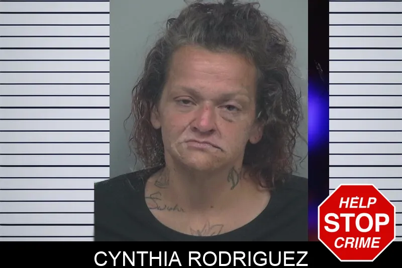 Cynthia Rodriguez Mugshots