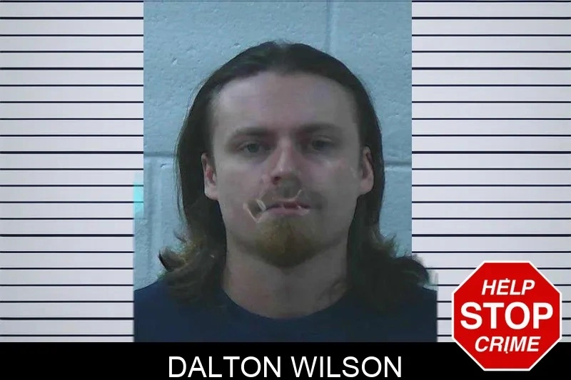 Dalton Wilson Mugshots