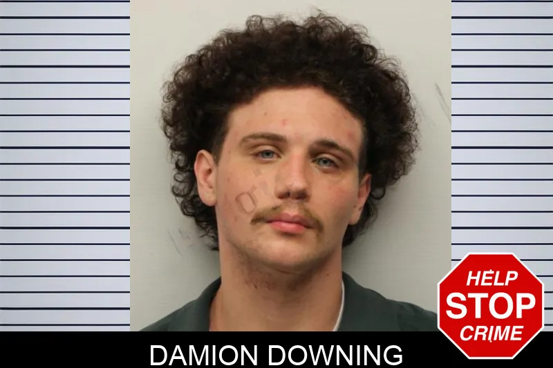 Damion Downing Mugshots