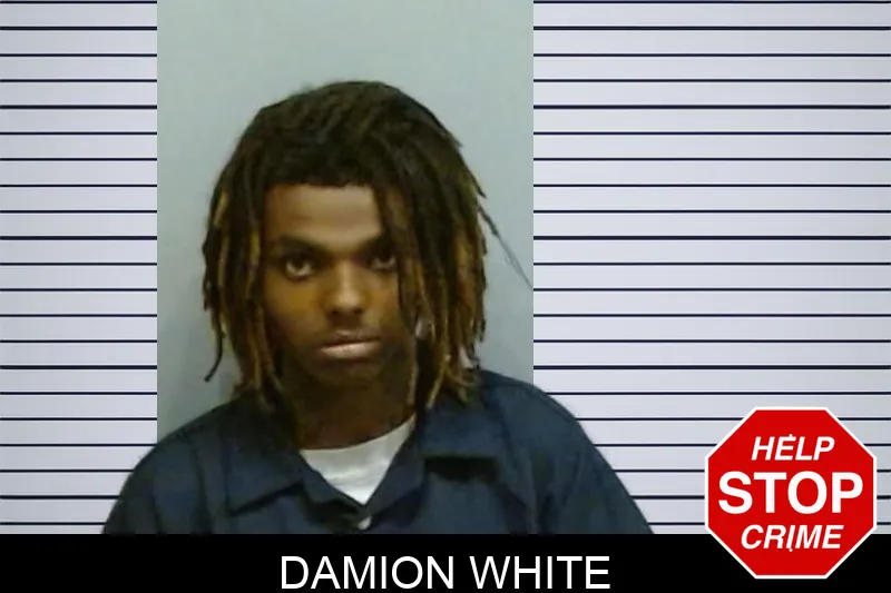 Damion White mugshot