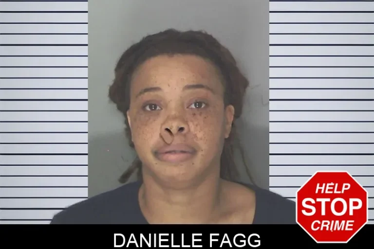 Danielle Fagg mugshot – Douglas County , Georgia Danielle Fagg