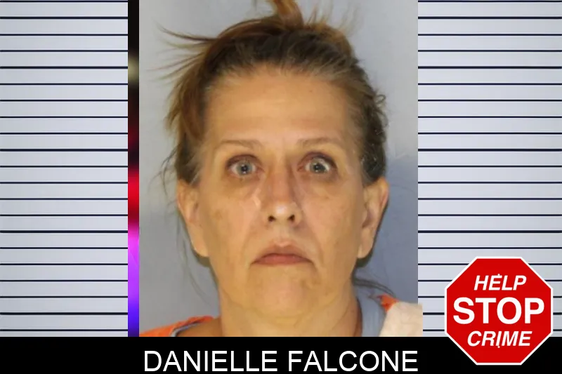 Danielle Falcone Mugshots