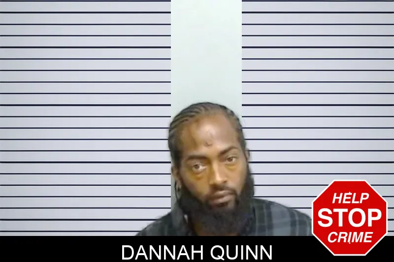 Dannah Quinn mugshot