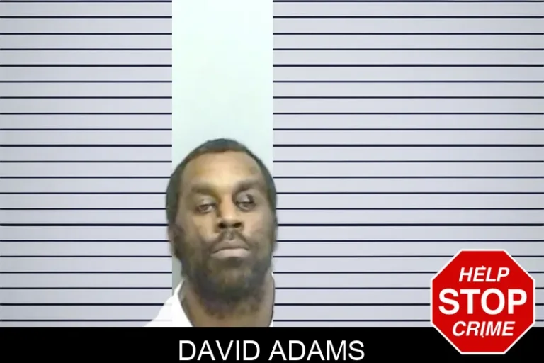 David Adams