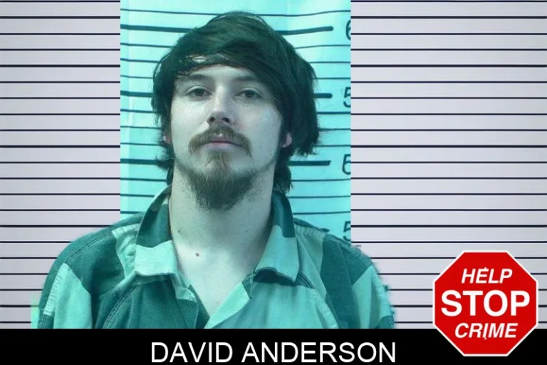 David Anderson mugshot – Stephens County , Georgia David Anderson