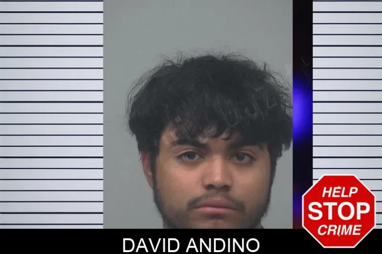 David Andino mugshot – Gwinnett County , Georgia David Andino