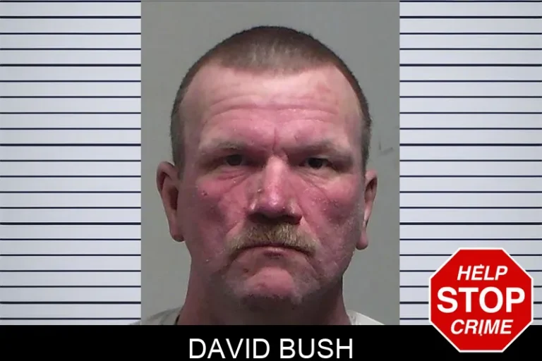 David Bush