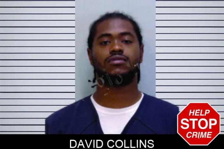 David Collins