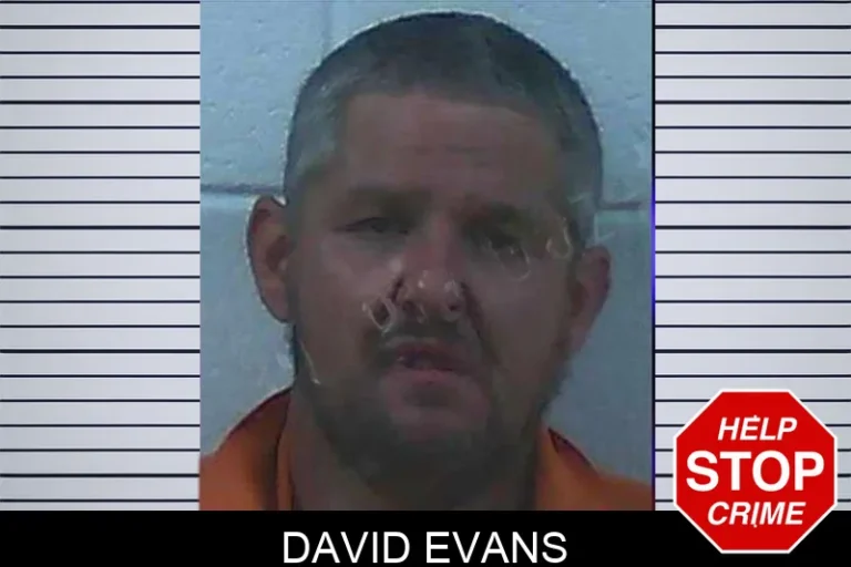 David Evans