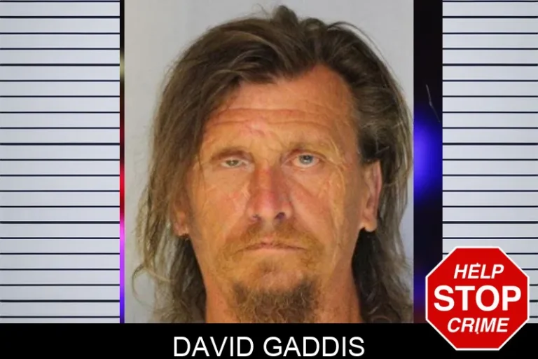 David Gaddis