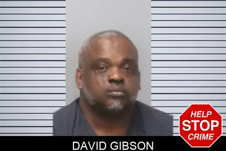 David Gibson