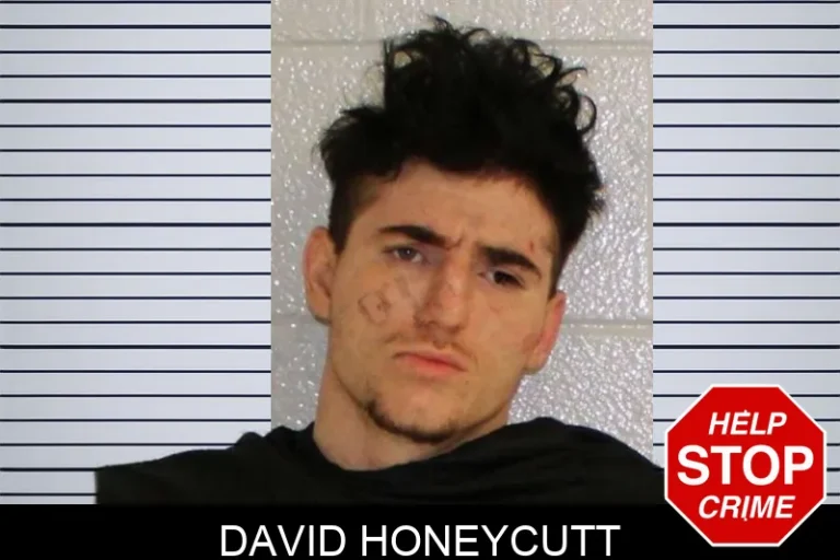 David Honeycutt