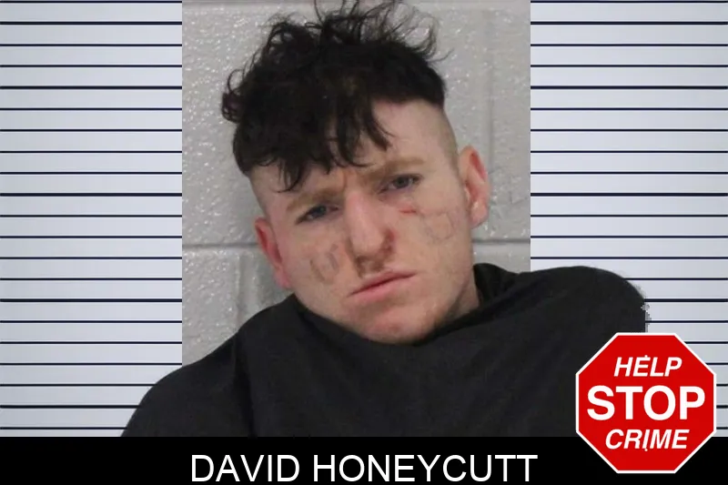 David Honeycutt Mugshots
