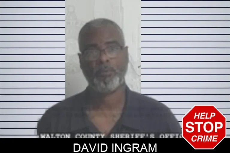 David Ingram