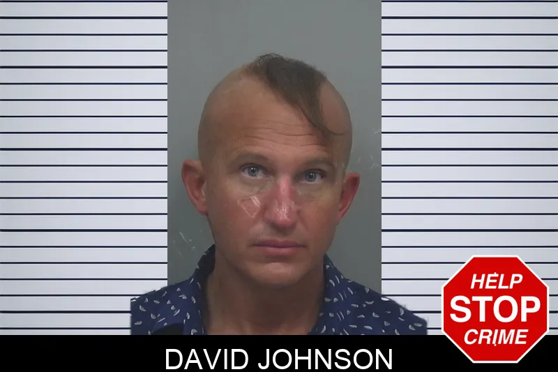 David Johnson Mugshots