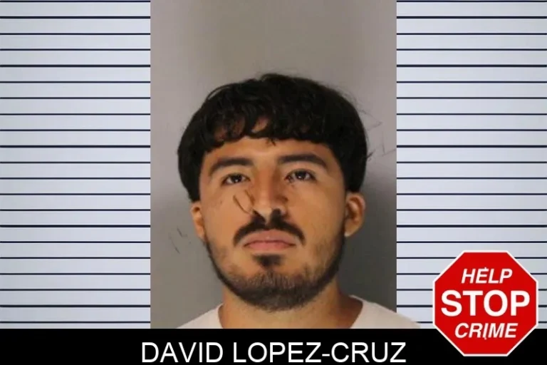 David Lopez-Cruz