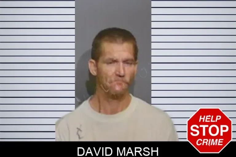 David Marsh