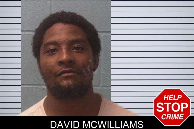 David McWilliams