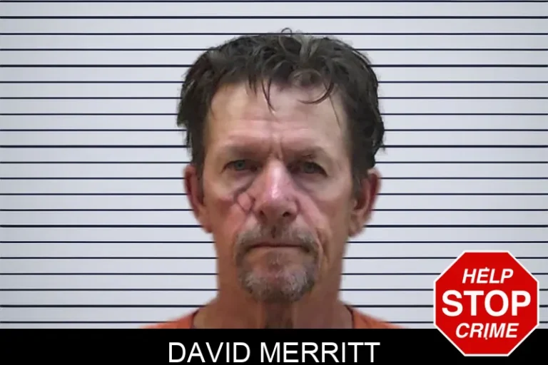 David Merritt