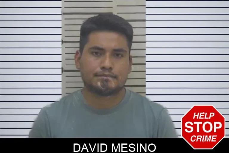 David Mesino mugshot – Coffee County , Georgia David Mesino