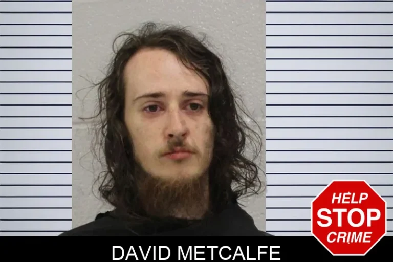 David Metcalfe