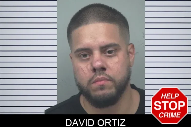 David Ortiz