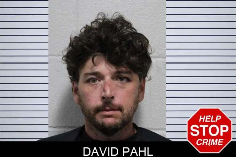 David Pahl
