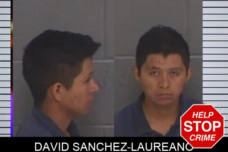 David Sanchez-Laureano