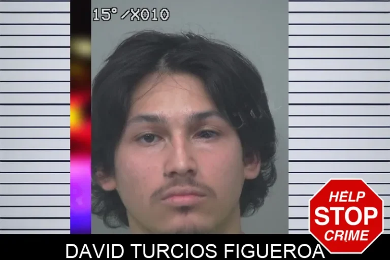David Turcios Figueroa