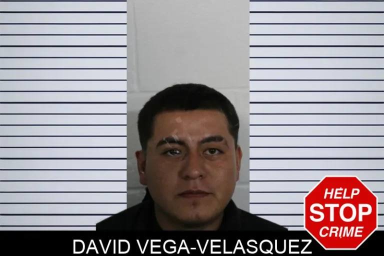 David Vega-Velasquez