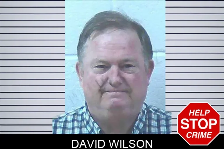 David Wilson