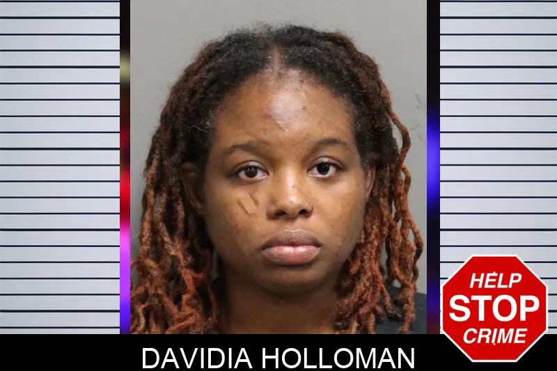 Davidia Holloman Mugshots