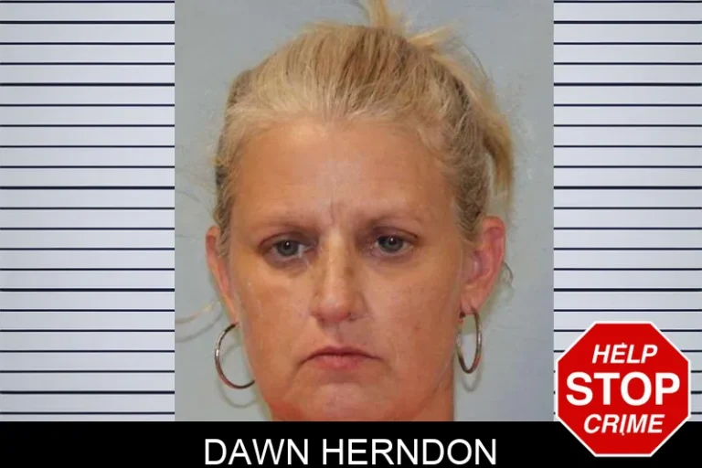 Dawn Herndon