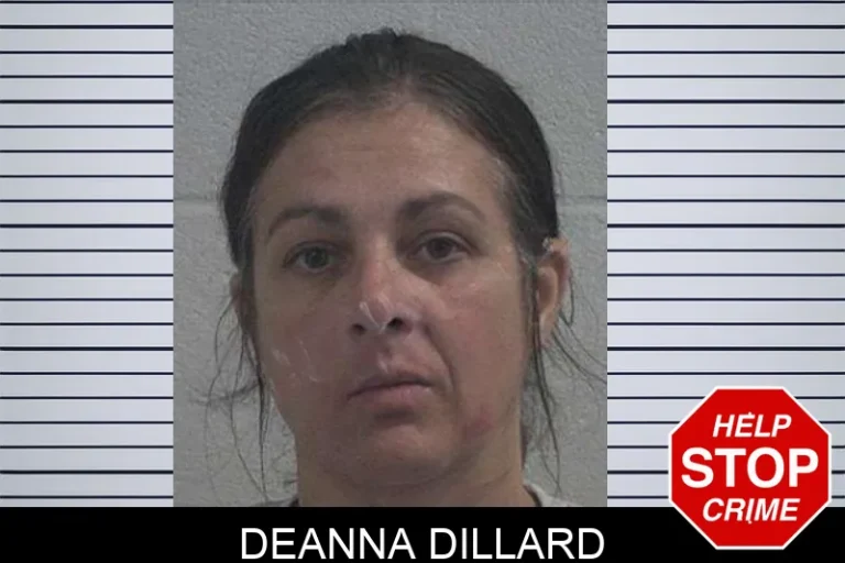 Deanna Dillard mugshot – McDuffie County , Georgia Deanna Dillard