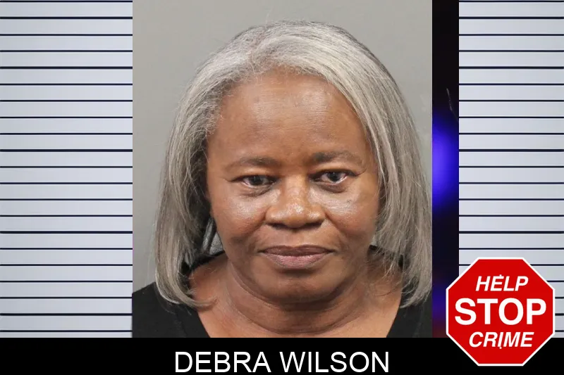 Debra Wilson mugshot – Cobb County , Georgia Debra Wilson mugshot