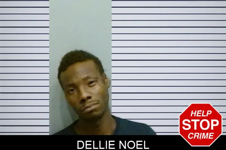 Dellie Noel