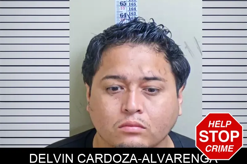 Delvin Cardoza-Alvarenga Mugshots