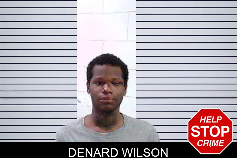 Denard Wilson mugshot
