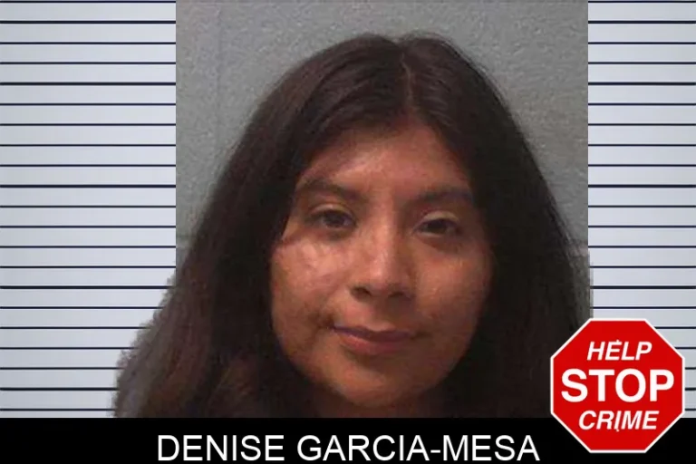 Denise Garcia-Mesa