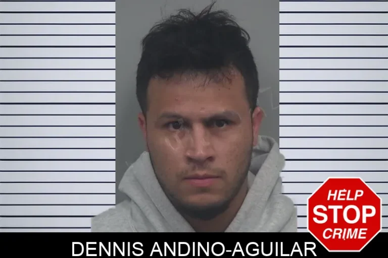 Dennis Andino-Aguilar